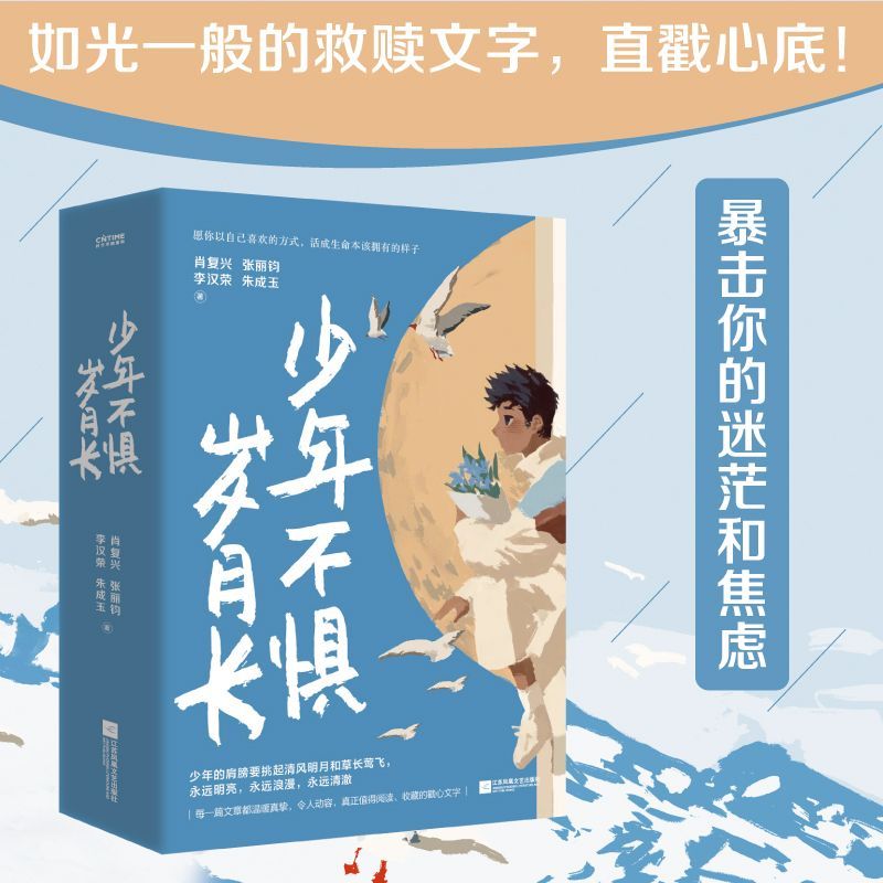 少年不惧岁月长 人生没有多余的疼 玫瑰从来不慌张 肖复兴张丽钧李汉荣朱成玉正版书籍小说畅销书