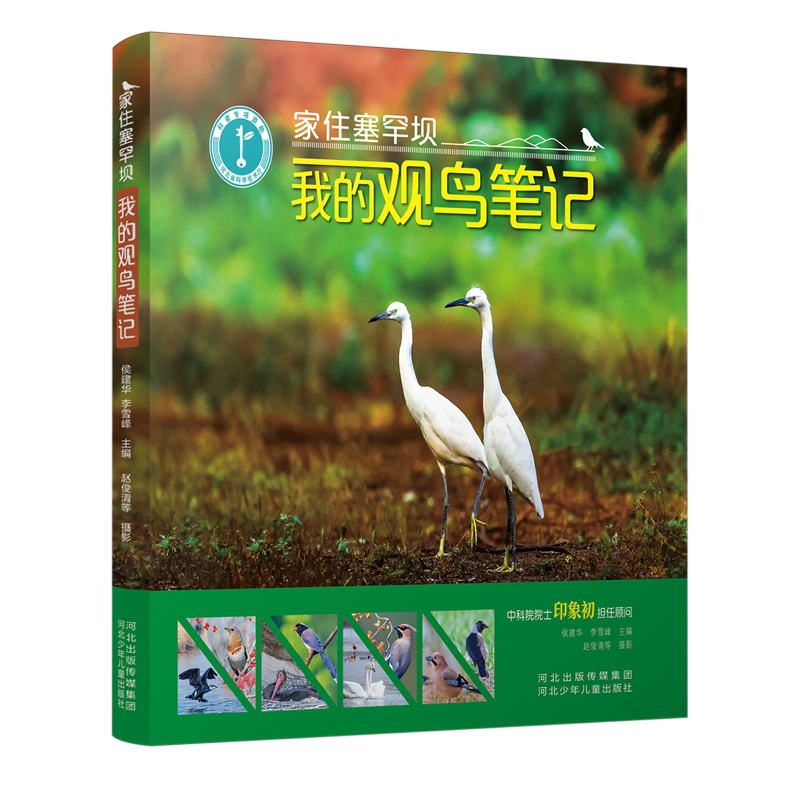 家住塞罕坝:我的观鸟笔记