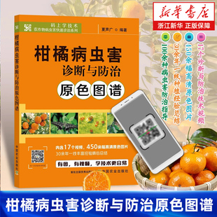 柑橘种植技术病虫害防治农业种植技术大全 原色图谱 柑橘病虫害诊断与防治 水果果树种植诊治与防治管理书正版 新华书店旗舰店
