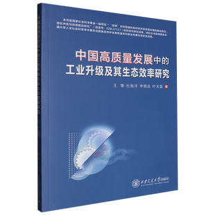 中国高质量发展中 工业升级及其生态效率研究