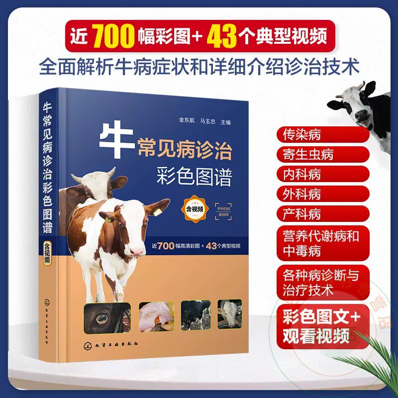 牛常见病诊治彩色图谱 含视频 金东航 牛常见传染病 牛常见病防治综合工具书 农业院校畜牧兽医专业参考 牛病防控技术培训教材