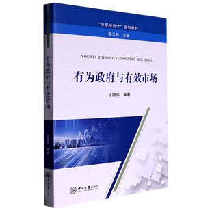 有为政府与有效市场(中观经济学系列教材)