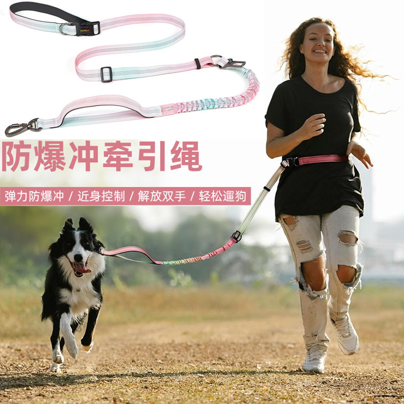 狗狗多功能牵引绳跑步牵引绳