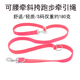 甜瓜宠物狗狗牵引绳尼龙多功能牵引绳户外跑步拉带一拖二双头狗绳