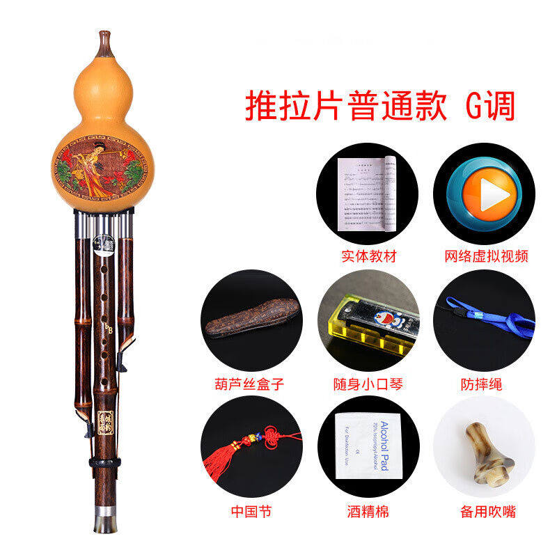 葫芦丝乐器初学者成人小学生自学入门零基础胡芦丝c调降b调紫竹防