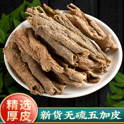 五加皮南五加皮野生泡酒泡茶