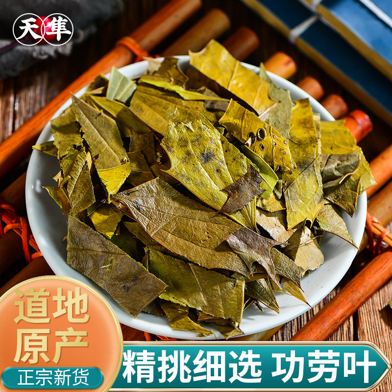 【地道无硫】十大功劳叶500克野生新货中药材猫儿刺八角刺老鼠刺