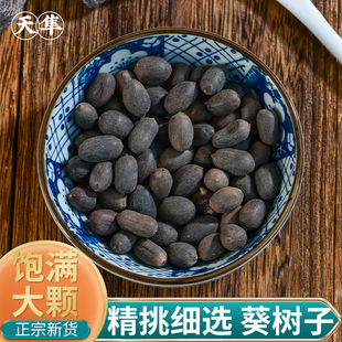 【地道无硫】正宗野生葵树子中药材500g葵扇籽成熟蒲葵籽蒲扇子