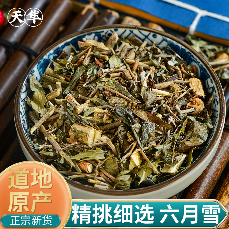 【地道无硫】六月雪野生新货中药材路边金满天星白马骨硬骨柴