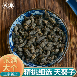 【地道无硫】野生天葵子中药材天葵草水洗千年老鼠屎紫背天葵子