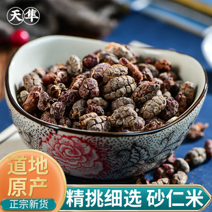 【地道无硫】砂仁正品新货阳春去壳砂仁米香料 砂仁中药材 砂仁肉