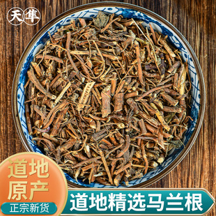 【地道无硫】精选马兰根罐装中药材马兰草根马蔺根高含量药用