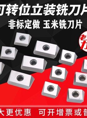 硬质合金立装铣刀片LSE434/446R01/LPE435/LSE435R100玉米 铣刀片