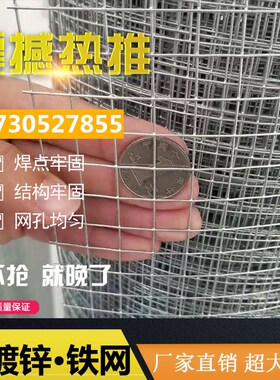 整卷热镀锌养殖网农场果园防护电焊铁丝网围栏鱼塘隔离铁丝网方格