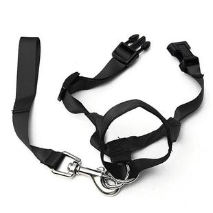 Pet Gentle Leader No Pain No Pull Control Training Leash