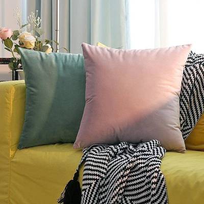 Solid-colored throw pillows Pink Cushions velvet backrest
