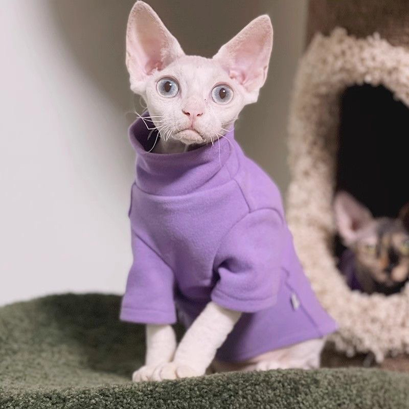 2025新款纯色可爱短袖无毛猫德文外穿休闲1-15斤猫狗同款衣服