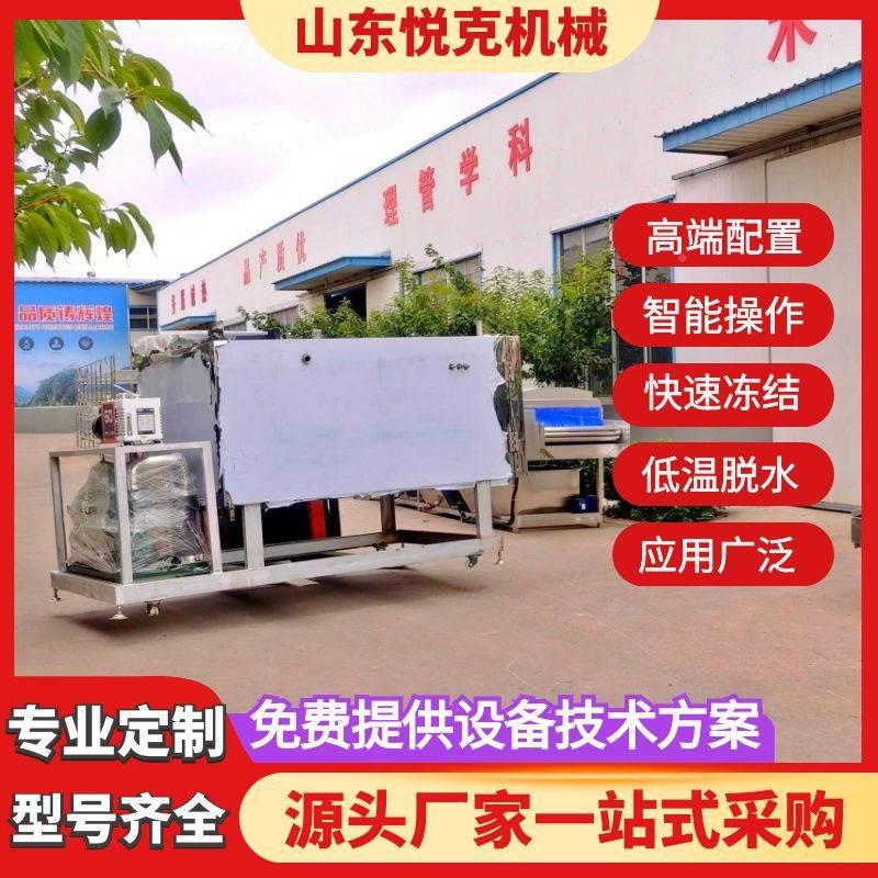 商用菌类香菇低温干燥机