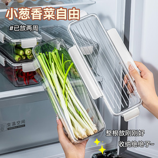 香菜大葱小葱保鲜盒食品级冰箱长方形芫荽葱姜蒜收纳盒鸡蛋面条盒