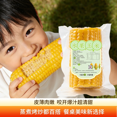 水果玉米棒真空包装开袋即食真空锁鲜黄糯玉米新鲜玉米早餐玉米