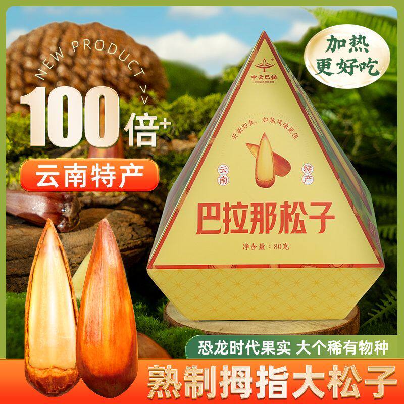 巴拉那松子云南特产新货大颗坚果干果原味休闲零食独立包装80g/盒
