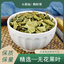 无花果叶中药材小药仙正品新鲜干货无花果叶子茶痔泡水疮坐浴草药