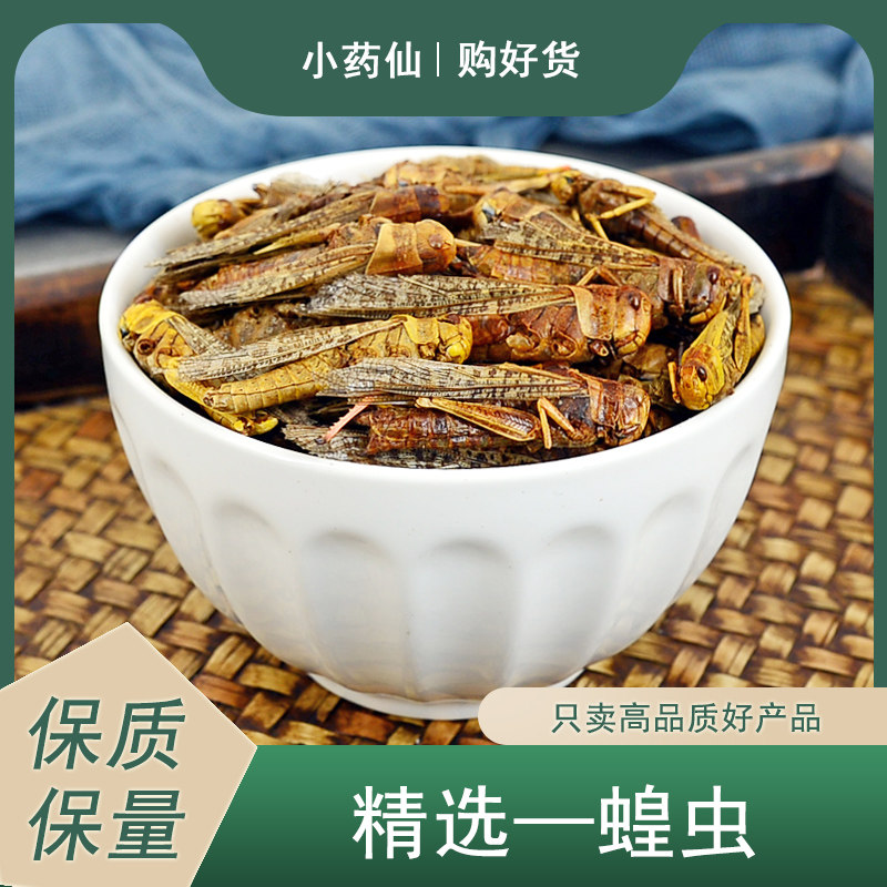 蝗虫中药材小药仙正品蚂蚱草蜢蚱蜢飞蝗干飞蚂蝗蝈蚂非野生蝗虫粉