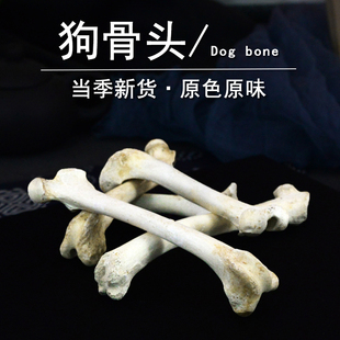 狗骨头中药材小药仙正品生狗腿骨干货胫骨药用狗骨头粉犬骨狗骨粉