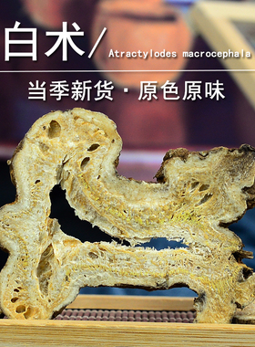 白术中药材小药仙正品白术片于术根干白术粉於术非野生麸炒浙白术