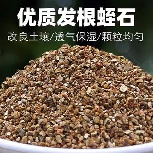 蛭石扦插用养花专用珍珠岩颗粒乌龟蛋孵化育苗基质月季 扦插专用土
