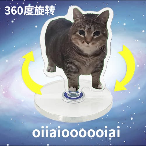 旋转小猫立牌搞笑3d立体摆件创意表情包亚克力桌面装饰