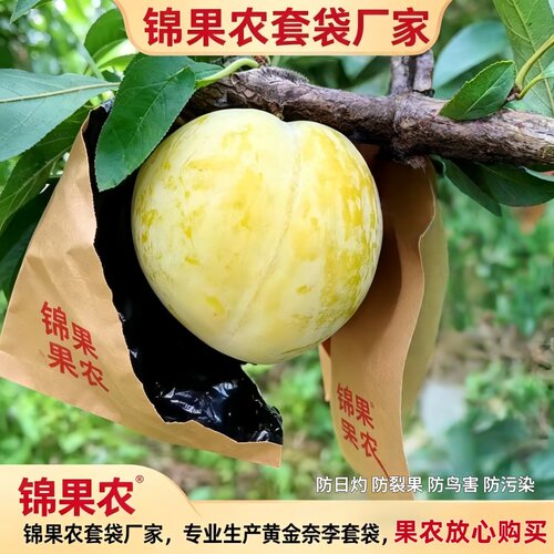 李子专用双层防虫防鸟防水套袋