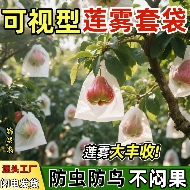 工厂直发莲雾释迦专用袋防虫袋