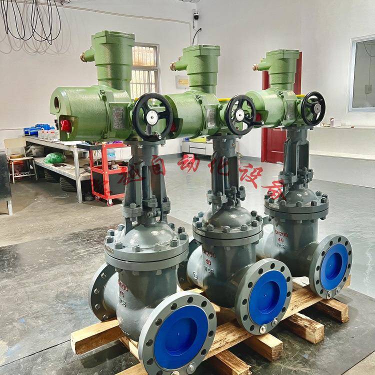 Z941W-40/64PDN100不锈钢电动法兰闸阀调节/智能开关型矿用