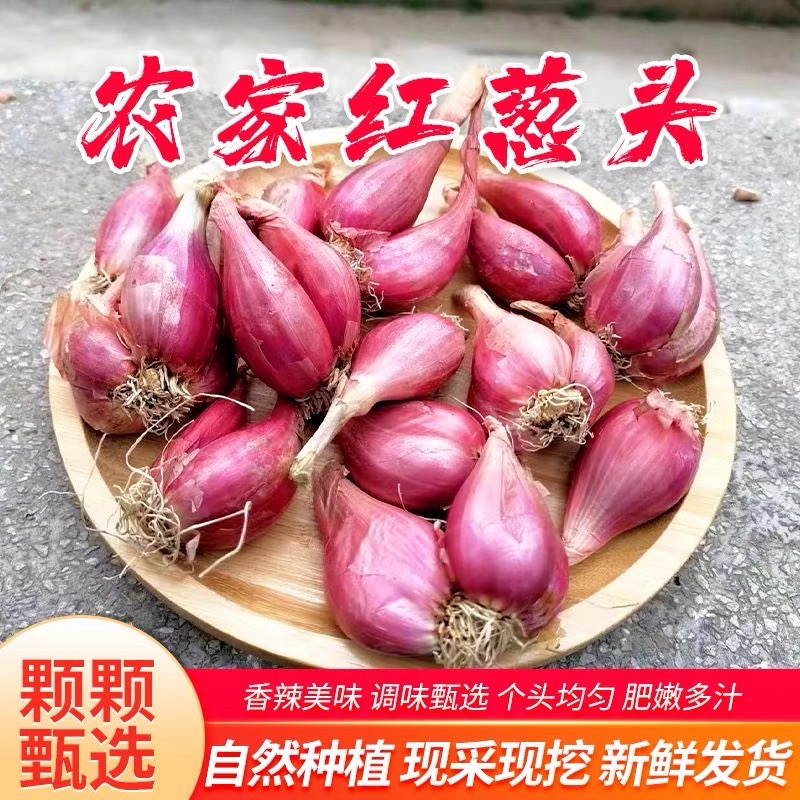 新鲜红葱头颗粒饱满榨葱油酥包邮