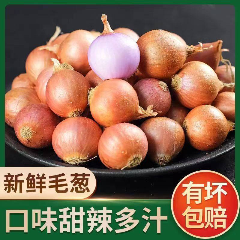 毛葱头水果洋葱洋葱新鲜鬼子葱生吃红葱头小圆葱辣味葱味十足