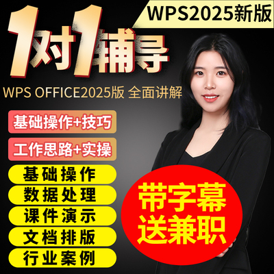 全套WPS Office视频教程零基础学Excel表格函数word/ppt办公课程