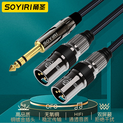 SOYIRI 无氧铜6.35转双卡农公音频线 6.5大二大三芯转XLR卡农公线