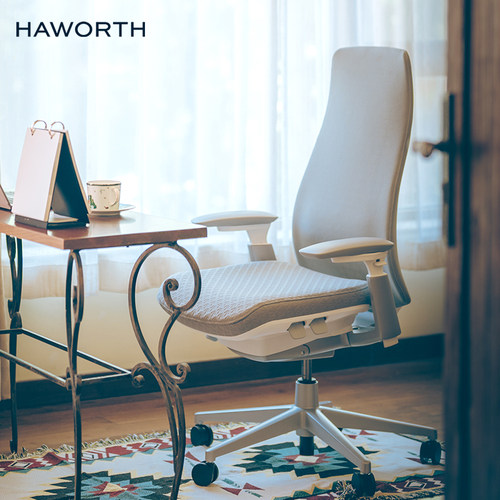 海沃氏人体工学椅独特大箭头面料