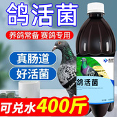 鸽子活菌王鸽用鸽子赛鸽信鸽幼鸽肉鸽益生菌
