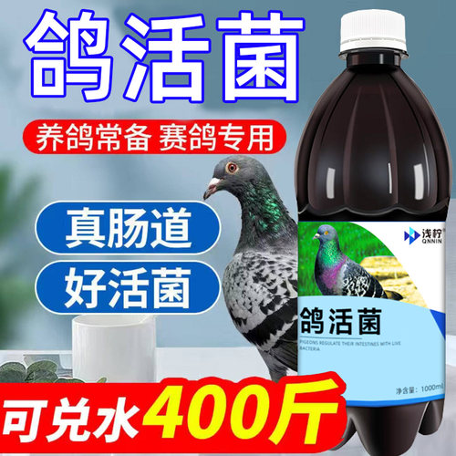 鸽子活菌王鸽用鸽子赛鸽信鸽幼鸽肉鸽益生菌