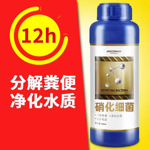 硝化细菌硝化菌鱼缸用消化水族银龙鱼鹦鹉底滤净水清澈澄清稳定剂