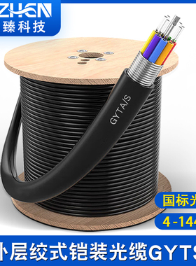 国标GYTA/S层绞式室外单模光缆4/8/12/36/48/72/96/144芯铠装万兆