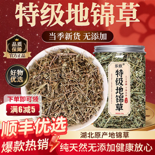 特级野生地锦草新鲜中药材搭茵陈清热的功效作用正品官方旗舰店zz