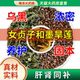 女贞子和墨旱莲草茶包养发乌发组合10克泡茶喝中药材官方旗舰点ZZ