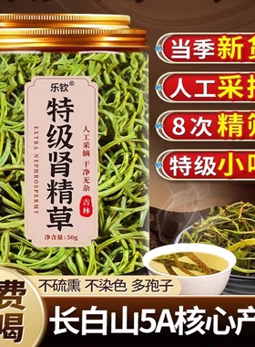 肾精草茶长白山东北养生茶小叶肾精黄金草茶伟肾正品野嗷嗷叫zz