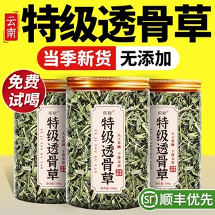 特级野生珍珠透骨草伸筋草功效与作用泡脚中药材正品官方旗舰店zz