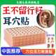 王不留行籽耳穴贴中医理疗穴位耳贴耳豆防敏磁珠模型压力刺激贴zz