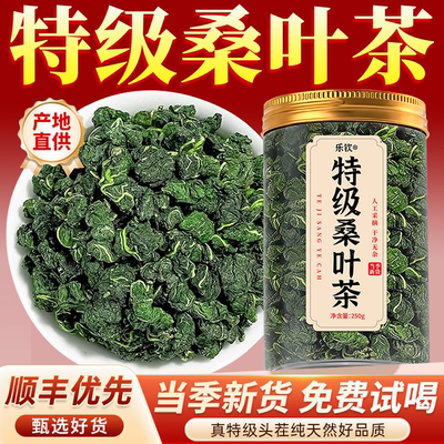 【特优级精选】特级桑叶茶中药材