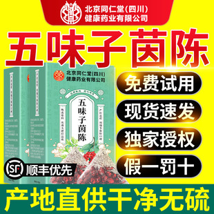五味子茵陈官方旗舰店正品茵陈五味子茶中药材肝kk